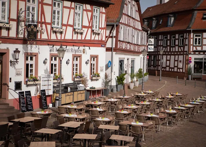 Hotel Mainterrasse Seligenstadt