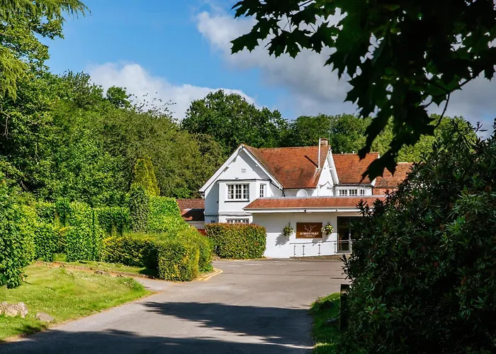 Top Watford Spa Hotels for Ultimate Rejuvenation