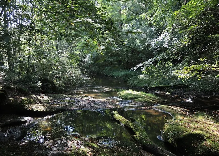 Top Hotels in the Heart of Clitheroe