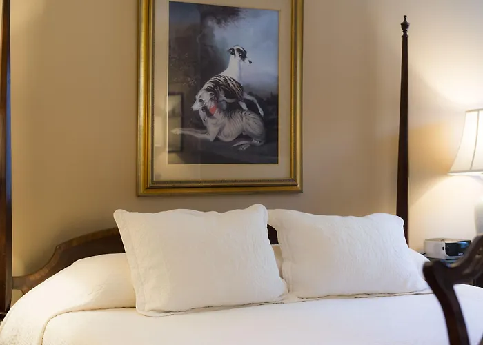 Best Pet-Friendly Hotels in Charleston