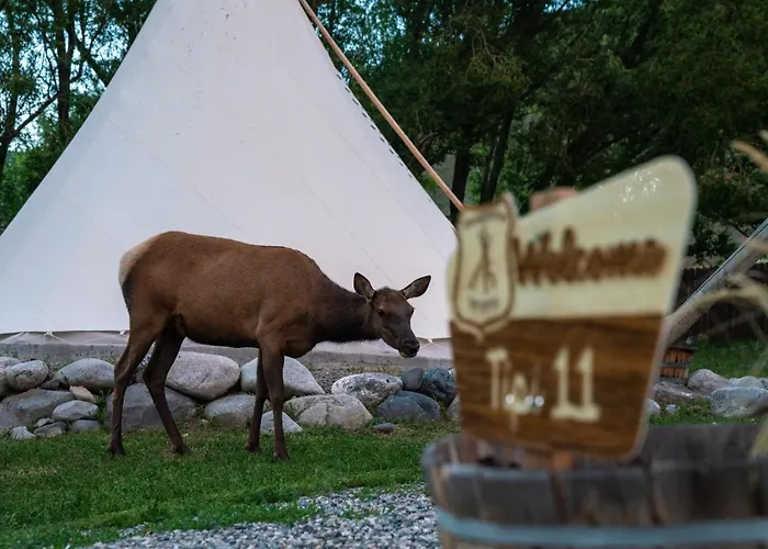 Top Gardiner Montana Hotels Near Yellowstone