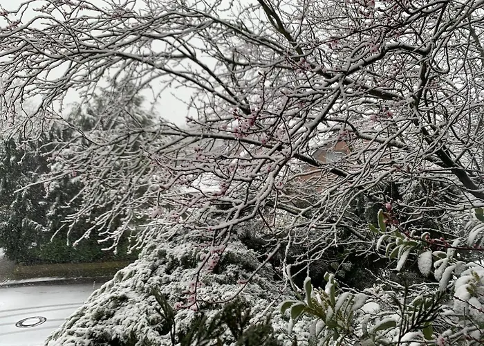 Fletcher Hotel De Kempen