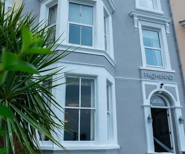 Top Dog-Friendly Hotels in Llandudno
