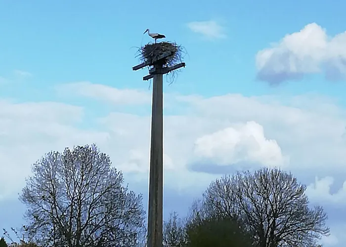 Hotels Cabourg Vue Sur Mer Exceptionnels