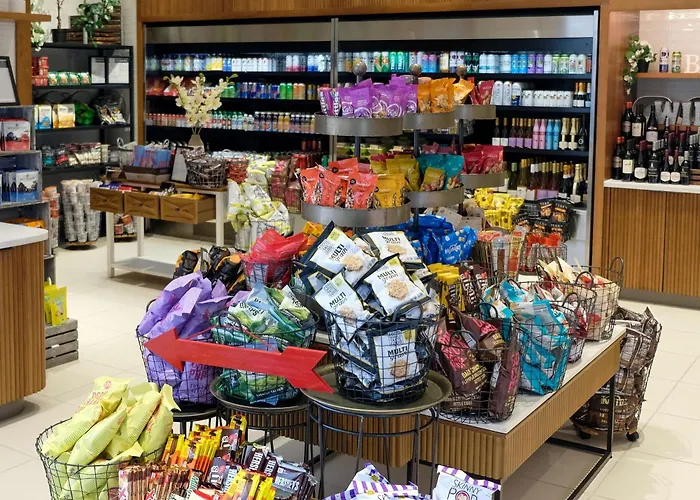 Top San Diego Hotels Near the Airport