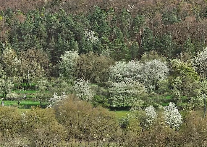 Hotel Deutsches Haus 97762 Hammelburg