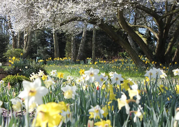 Best Hotels in Norwich Area