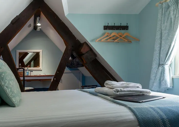 Top Hotels and B&Bs in Newtown Powys