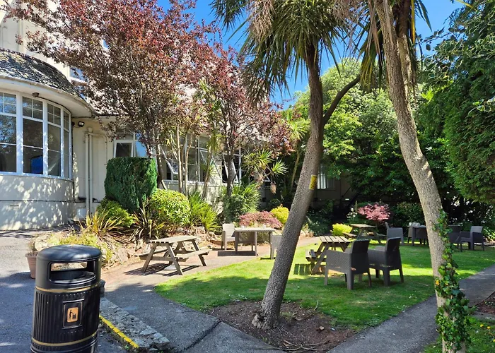Top Dog Friendly Hotels in Torquay