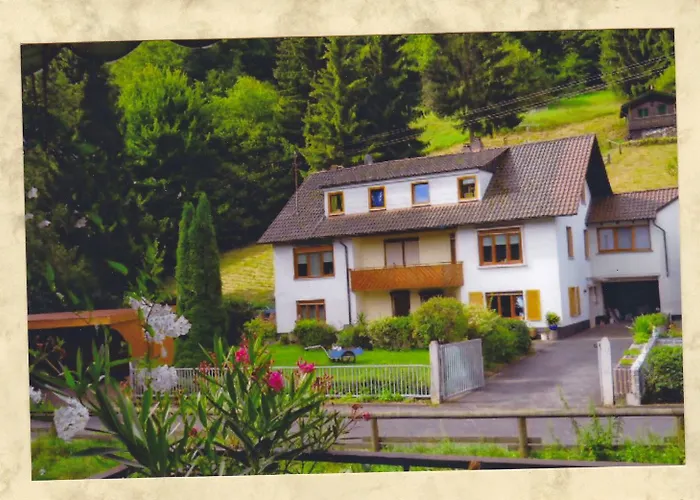 Hotel Spessartruh Frammersbach Bewertung im Überblick