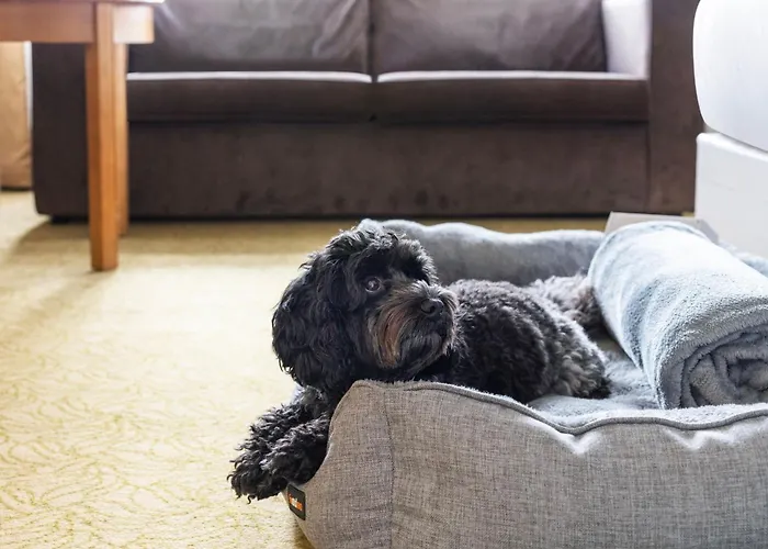 Best Hotels Near Bournemouth's Stunning Beaches