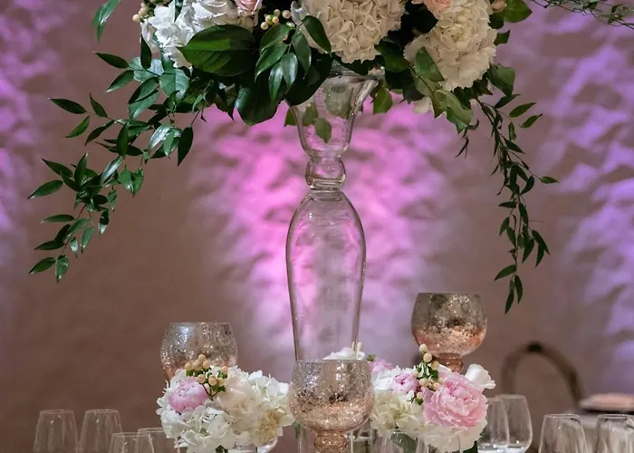 Best Hotels Near Dallas Zoo, a Prime Location