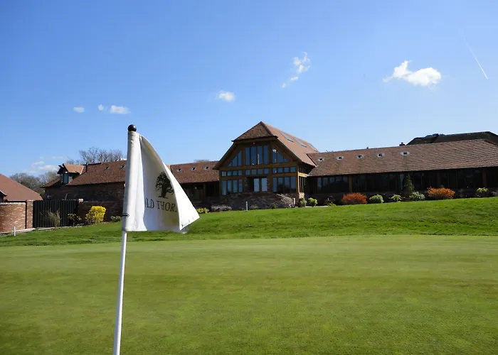 Finest Hotels in Liphook, UK's Countryside Gem