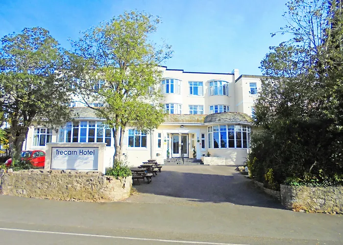 Top Dog Friendly Hotels in Torquay
