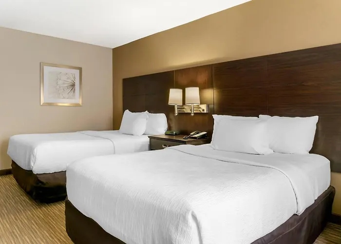 Top Hotels in Monroe MI for an Unforgettable Stay