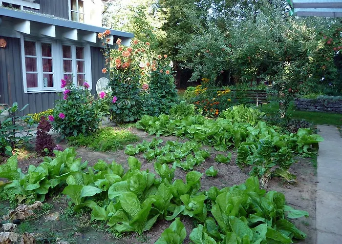 Hotel-Restaurant Babylon Dierdorf Menü Erlebnisse