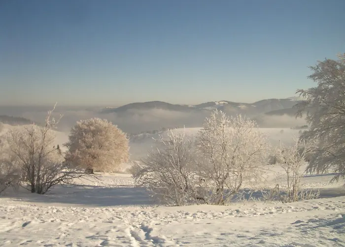 Hotel Langeck Münstertal