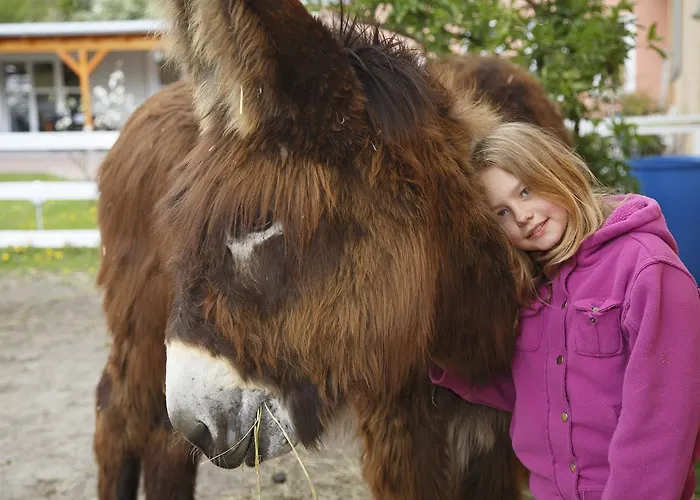 Hotel Nauen Havelland