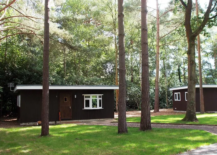 Best Hotels Near Wokingham for Memorable Stays