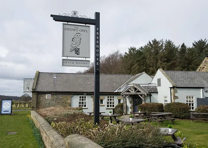 Top Hotels in Charming Cramlington, United Kingdom