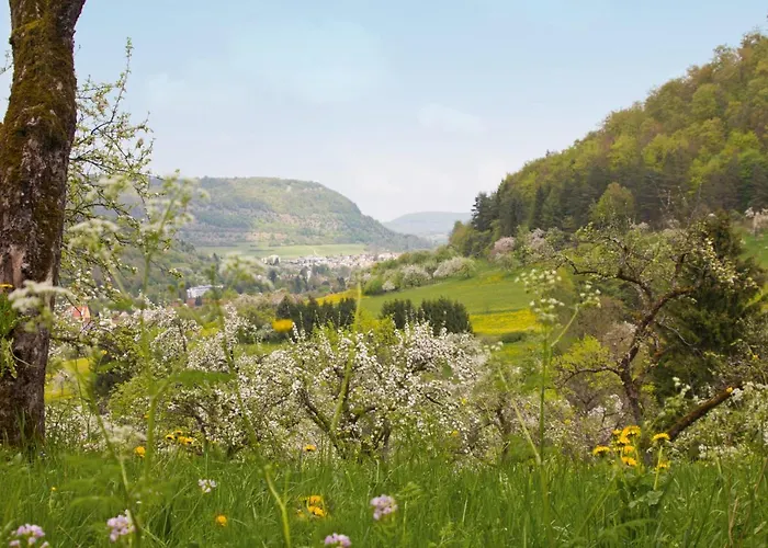 Hotel Bad Ditzenbach