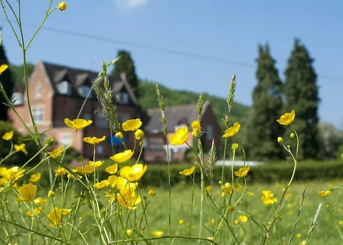 Top Luxury Hotels in Ludlow for an Unforgettable Stay