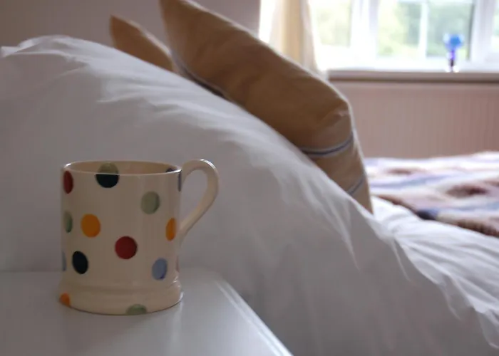 Top Hotels in Symonds Yat West for an Unforgettable Stay