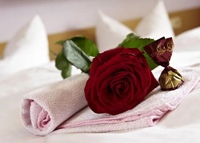 Hotel Elfenhain Grafenwiesen