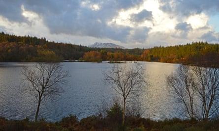 Llyn Elsi in the Gwydir Forest.