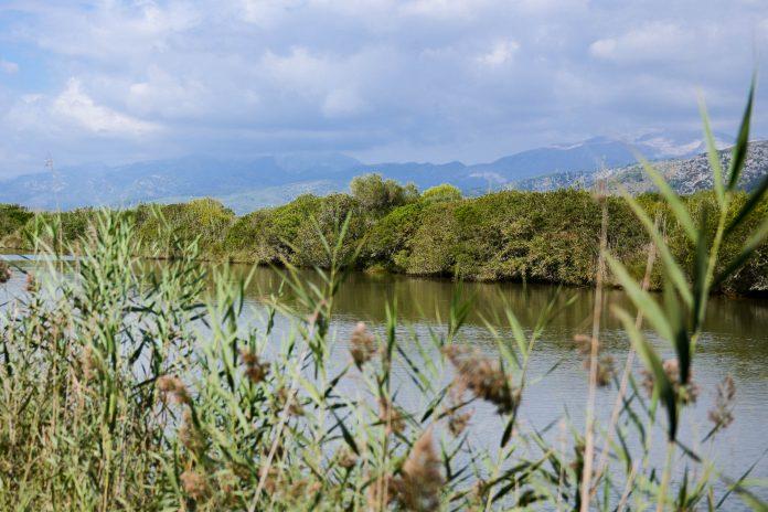 Parc natural de s'Albufera in Mallorca, Spain
