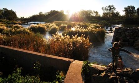 The sun sets over reeds covering the ancient fishtraps in Brewarrina