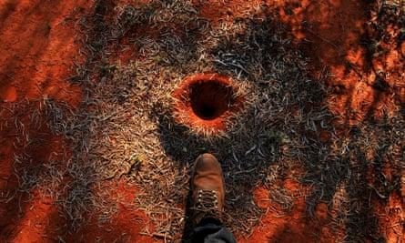 The entrance to a mulga ant nest near Mount Gundabooka. Some scientists believe the ants build levees to prevent the nests being flooded during heavy rain